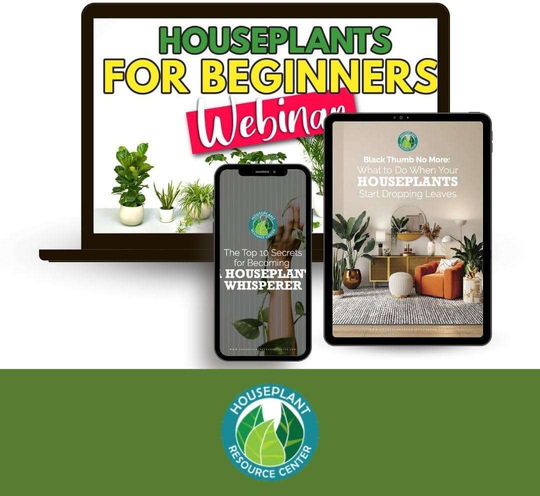 Premium Houseplant Scissors | 100% Stainless Steel, Ultra-Precise Garden Clippers for Propagation & Trimming | Rust-Resistant, Easy Clean Pruning Shears | Indoor & Outdoor | Comfortable & Ambidextrous